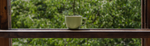 Tea Capsule